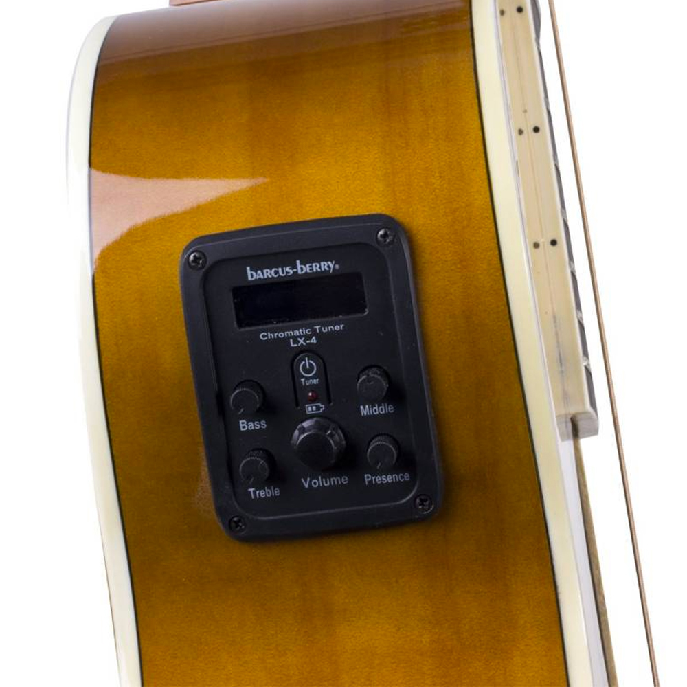 washburn especificaciones